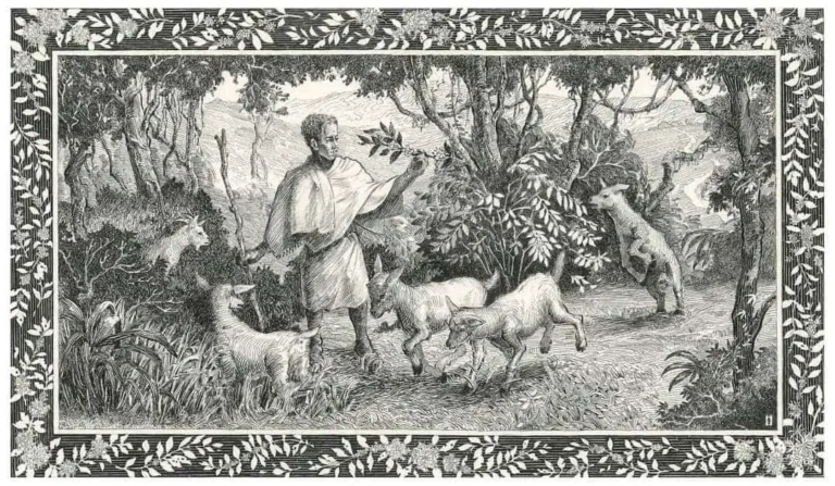 An illustration of Kaldi, the goatherd who is part of the rich history of coffee.