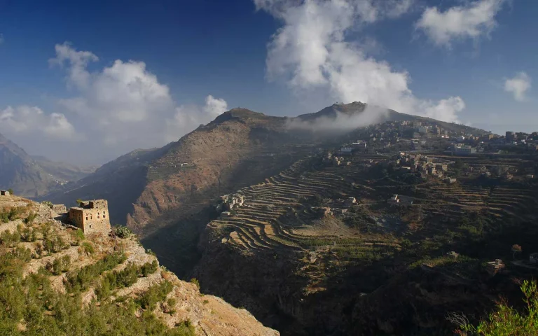 Terraced coffee fields in Yemen’s mountainous landscape.