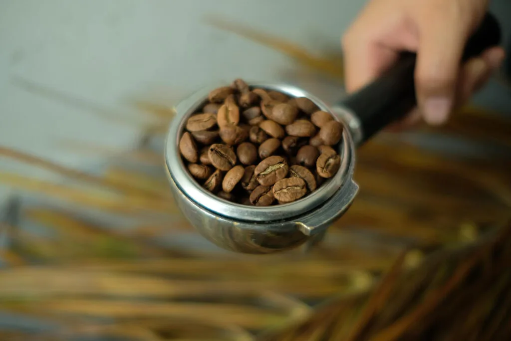 Hand holding portafilter filled with fresh coffee beans for espresso brewing, showing medium-dark roast espresso beans