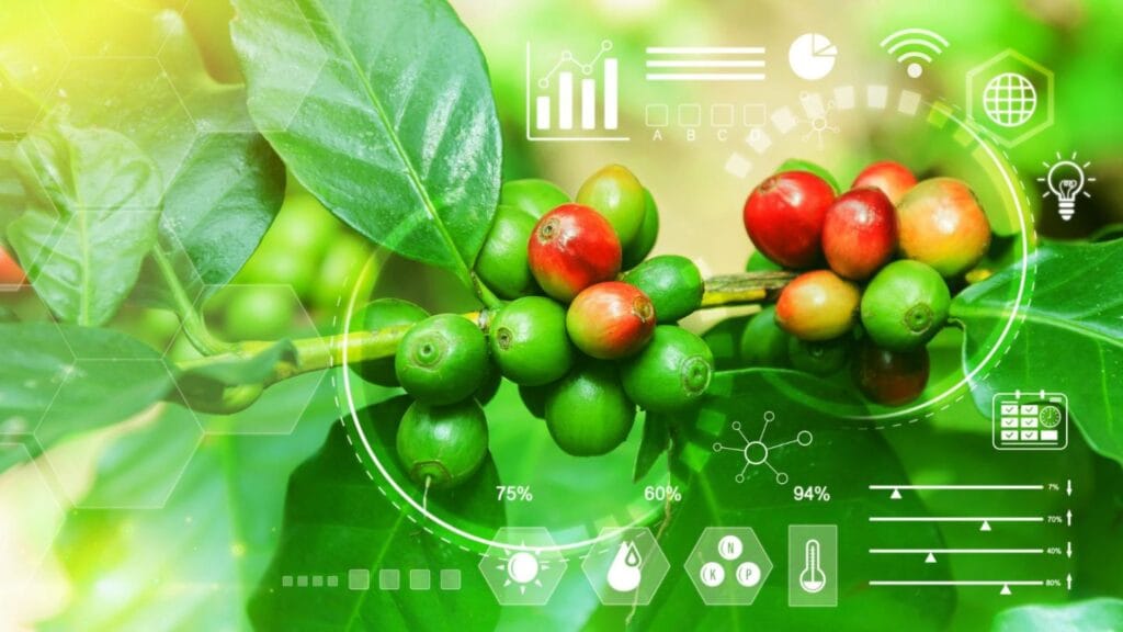 The Complete Coffee Farming Guide: From Soil Preparation to First Harvest 15 Coffee farming smart technology with digital monitoring systems overlay on coffee cherries and coffea arabica plant
