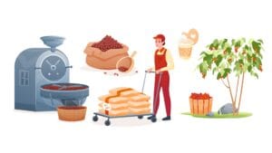 Hành trình cà phê minh họa từ trang trại đến tách cà phê, cho thấy cây cà phê, quả cà phê được hái bằng tay, quá trình chế biến, rang và tách cà phê cuối cùng