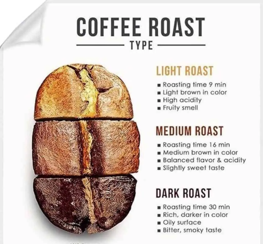 Coffee roast types comparison showing light, medium and dark roast coffee beans with flavor profiles in farm to cup journey