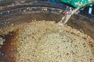 What Is Washed Process Coffee and How Does It Affect Flavor? 9 Washed process fermentation tanks in coffee farm to cup journey enhancing flavor clarity