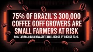 brazil warns us trade collapse