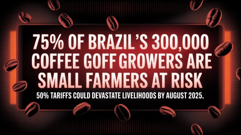 Brazil Warns US Trade Deal Could Collapse by August Deadline 4 brazil warns us trade collapse