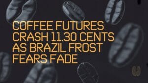 brazilian frost impact coffee