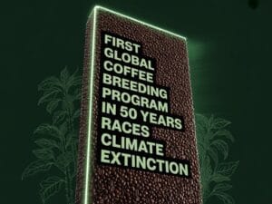 coffee ceo fighting climate