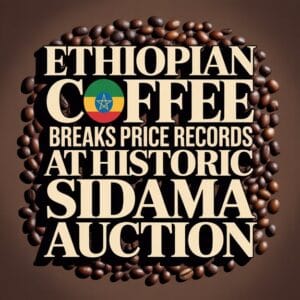 ethiopian coffee auction success