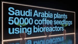 saudi arabia coffee expansion