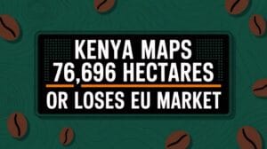 coffee farmers mapping ultimatum