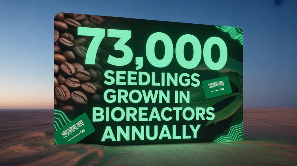 desert agriculture through coffee