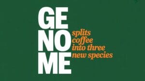 Liberica Split: Three Distinct Coffea Species Defy Long‑Held Taxonomy 9 liberica split defies taxonomy