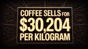 panama coffee record auction