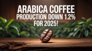 brazil arabica forecast reduction