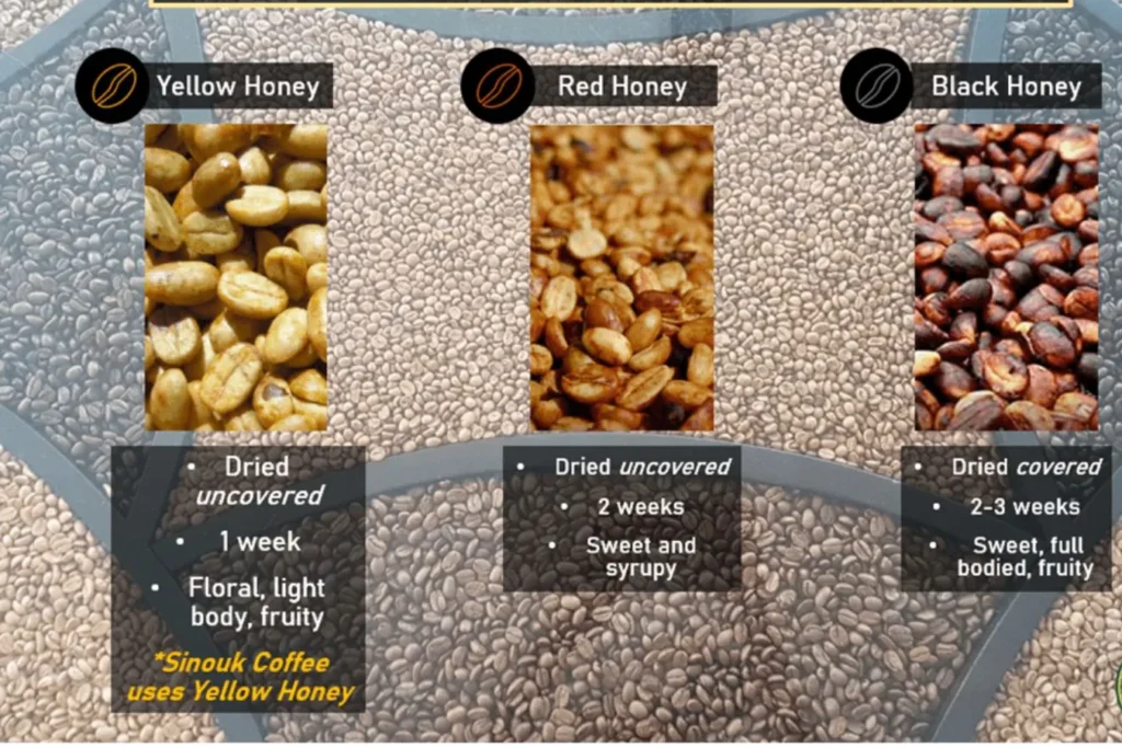 10 Facts About Black Honey PROCESS Vs Yellow Honey PROCESS 8 Honey coffee processing gradient chart showing mucilage removal percentages from white to black honey methods