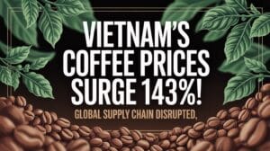 robusta prices surge dramatically
