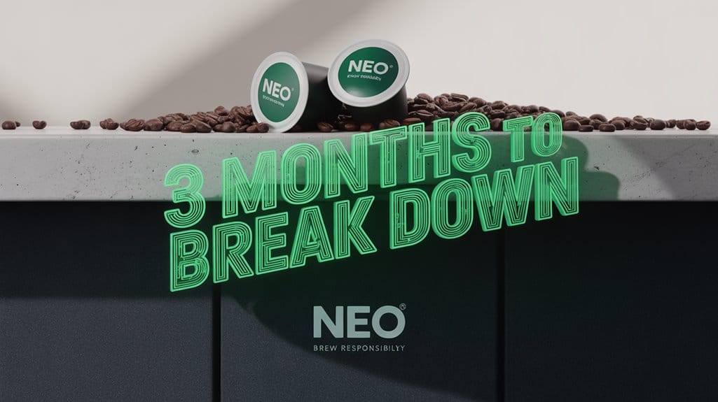 Japan & Korea Taste Coffee as You've Never Seen – NEO Arrives 9 unique coffee experiences await