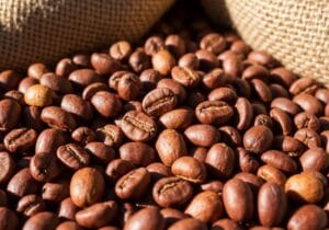 unique pacamara coffee beans