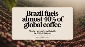 coffee futures rally 2025 balance