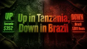 Split composition with glowing neon green and red 3D typography on dark textured surface, contrasting rising Tanzania coffee prices with falling Brazil prices in a coffee price rally story.