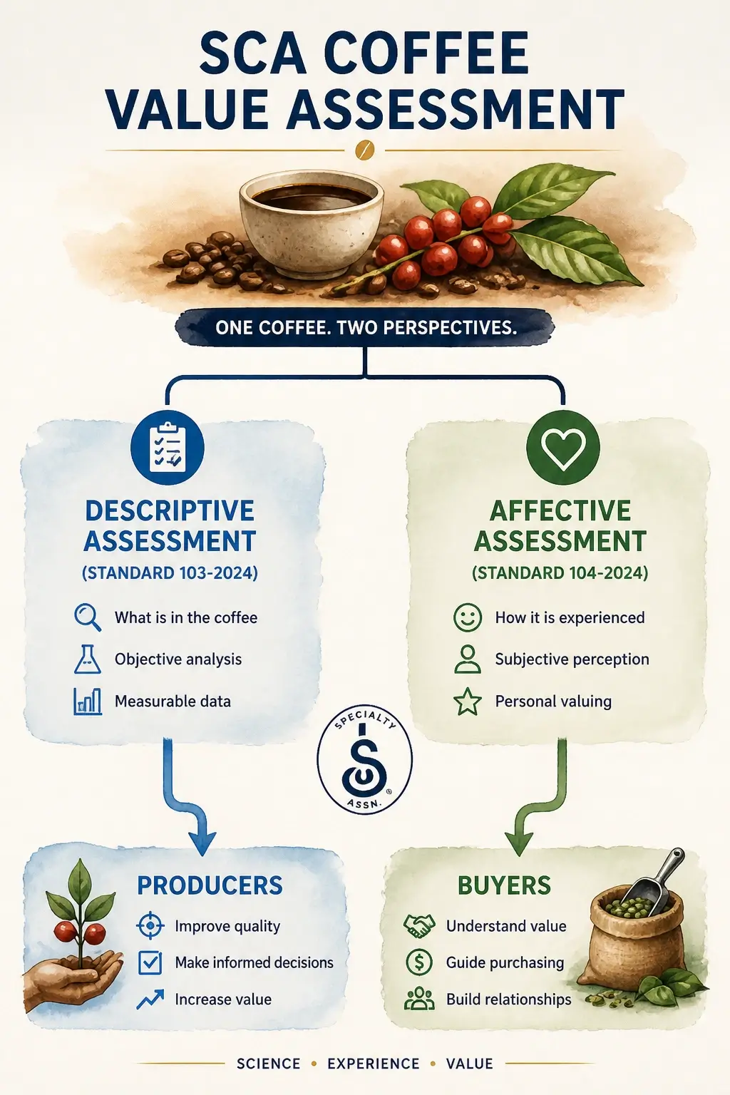 Infographic illustrating SCA Coffee Value Assessment structure with Descriptive and Affective Assessments and data flow arrows to producers and buyers