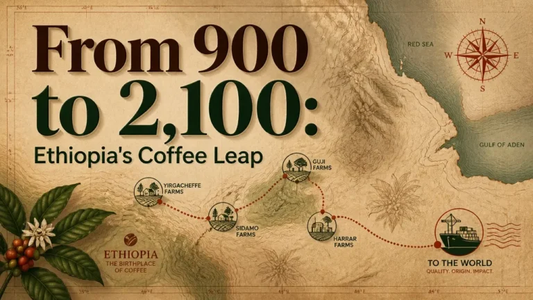 Topographic coffee map with headline 900 to 2,100 visualizing Ethiopia coffee productivity strategy.