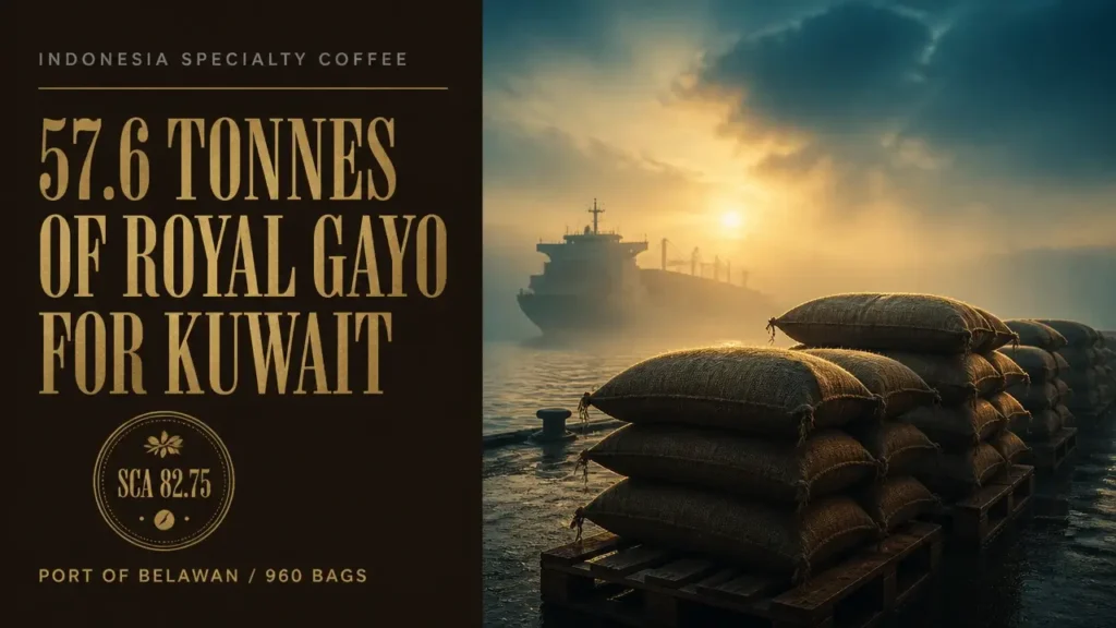 Split editorial composition with gold Royal Gayo coffee export typography and a misty dawn port scene, 57.6 tonnes to Kuwait.