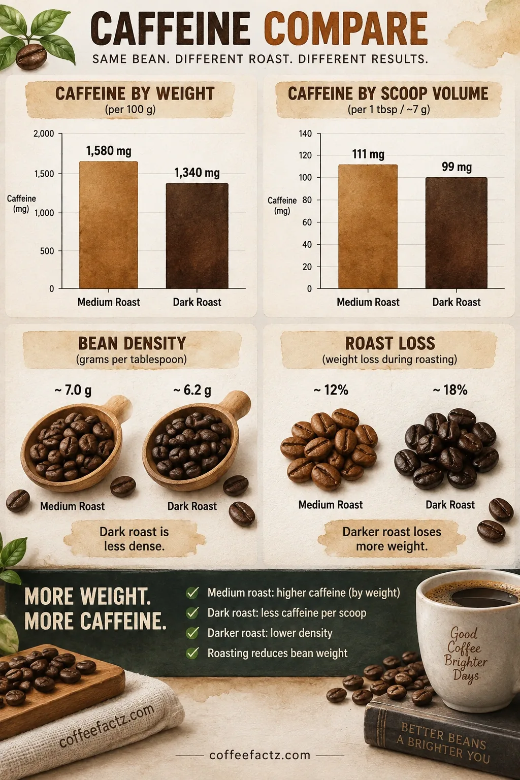 Infographic comparing caffeine in medium vs dark roast coffee by weight and scoop volume, showing bean density and roast loss.