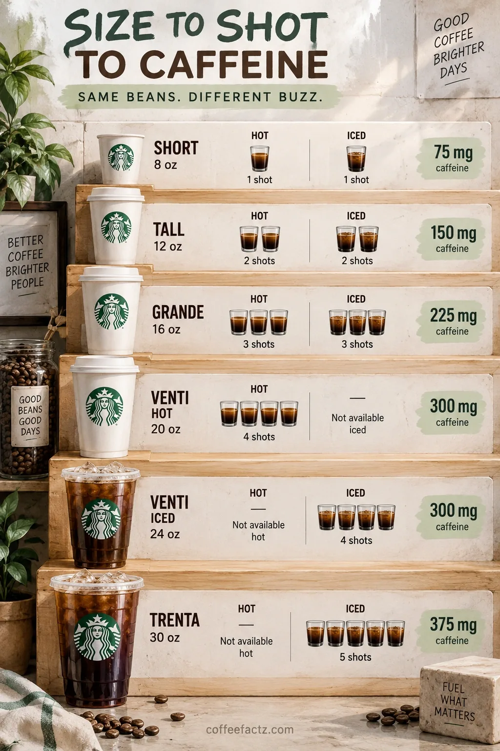 Infographic compares Starbucks Short, Tall, Grande, Venti Hot, Venti Iced, and Trenta sizes by shots and caffeine totals.